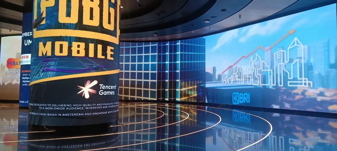 Flexible LED Module display