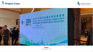 From China Manufacturing to Global Project Support: How Can a Kinetic LED Supplier Serve Customers Worldwide?